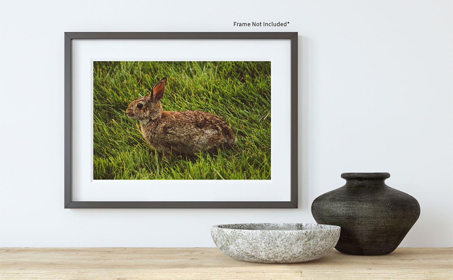 Bunny Photo Print