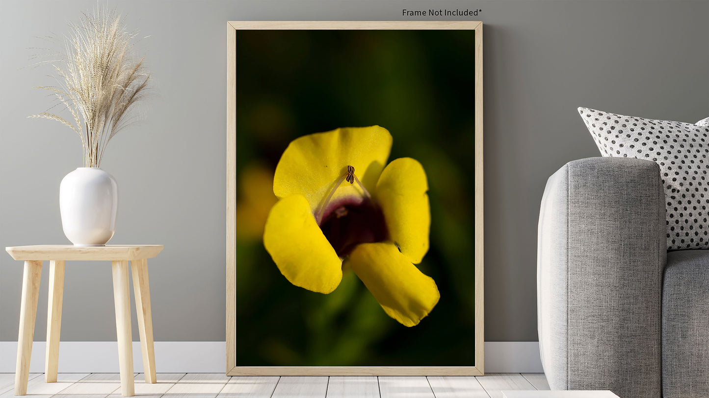 Delicately Yellow Photo Print