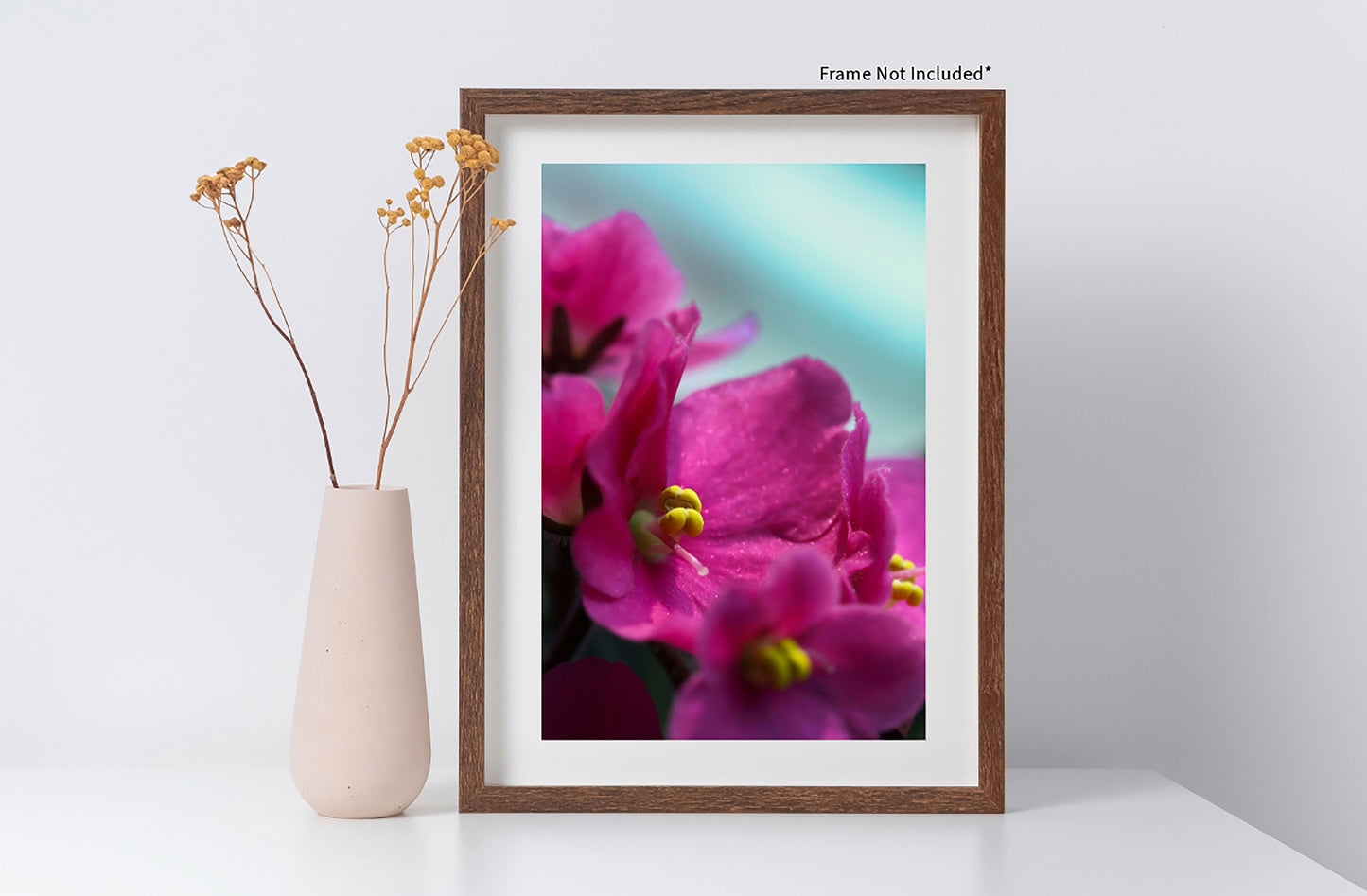 Fuchsia Photo Print